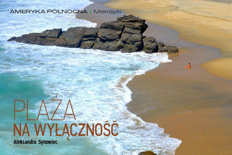 Losowy darmowy artykuł